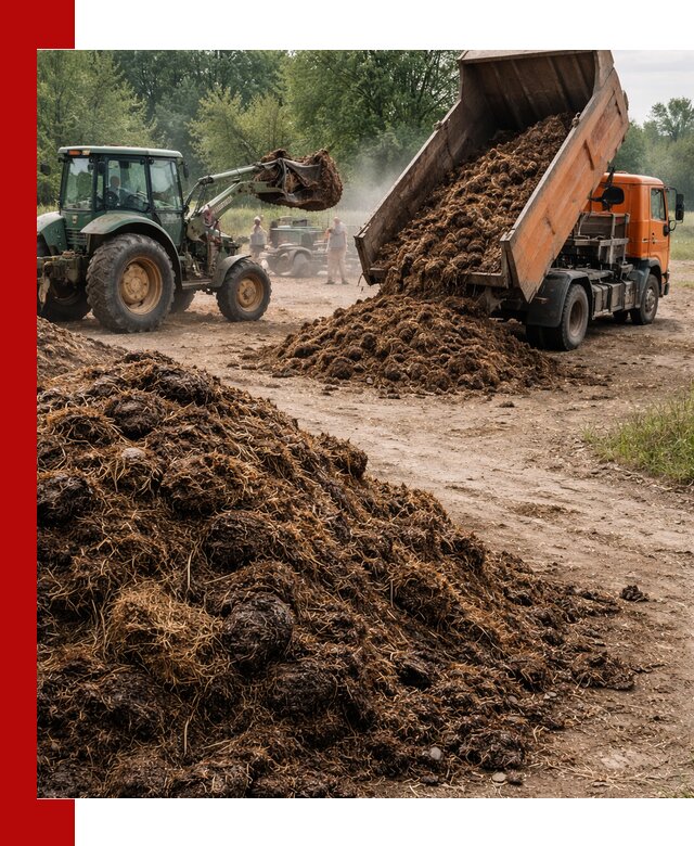 Доставка навоза самосвалами в Сафонове для сельхозпотребностей