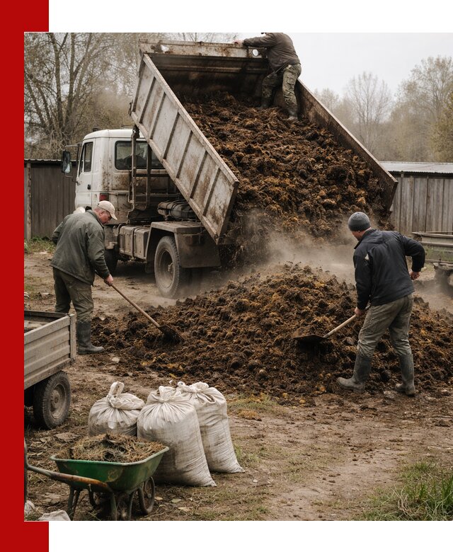 Доставка коровьего навоза самосвалом в Сафонове